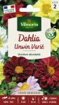 Fleurs - Dahlia Unwin Varié - PACKAGING_RECTO